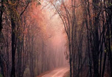 AYX:后浪汹涌,广州队青年军未来可期.