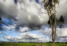 AYX:太阳报:拉爵向曼联高工资“宣战”,将效仿切尔西给低薪+高奖金.